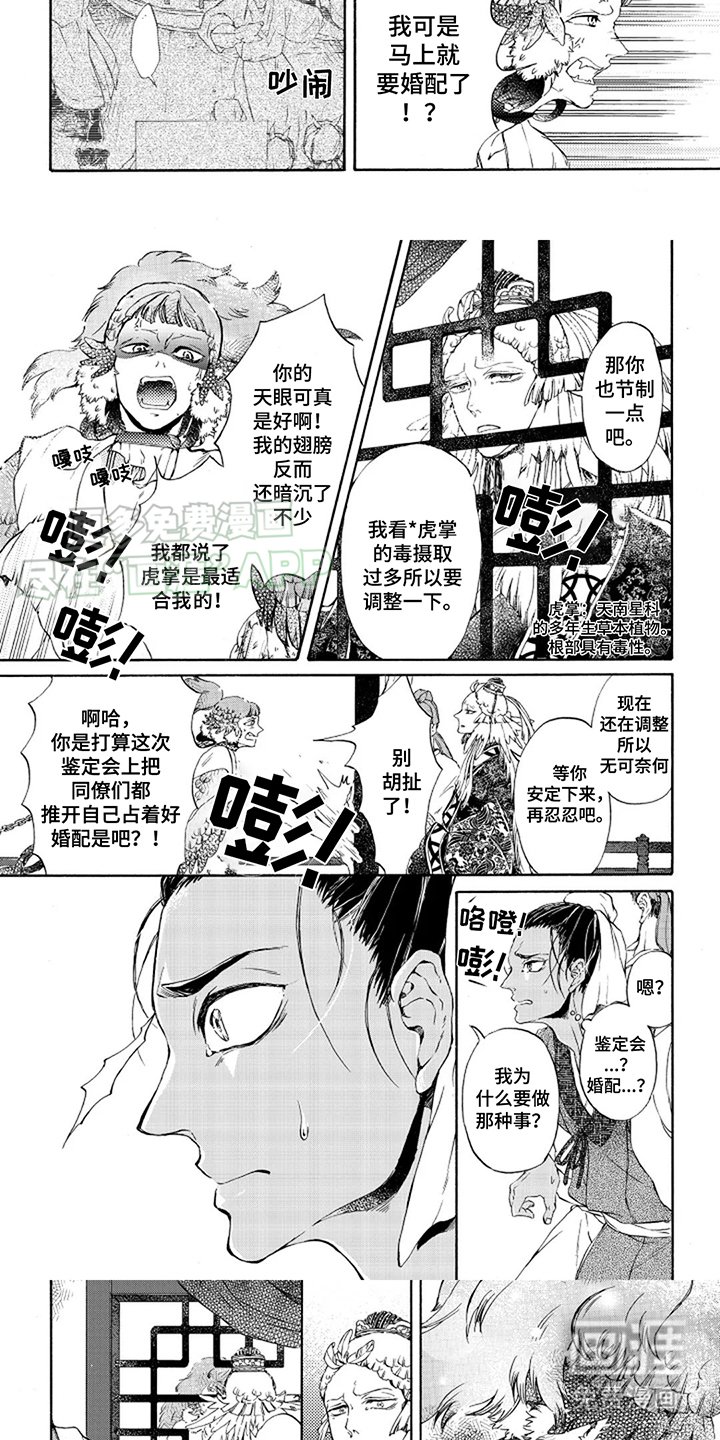 第4章：冷静点