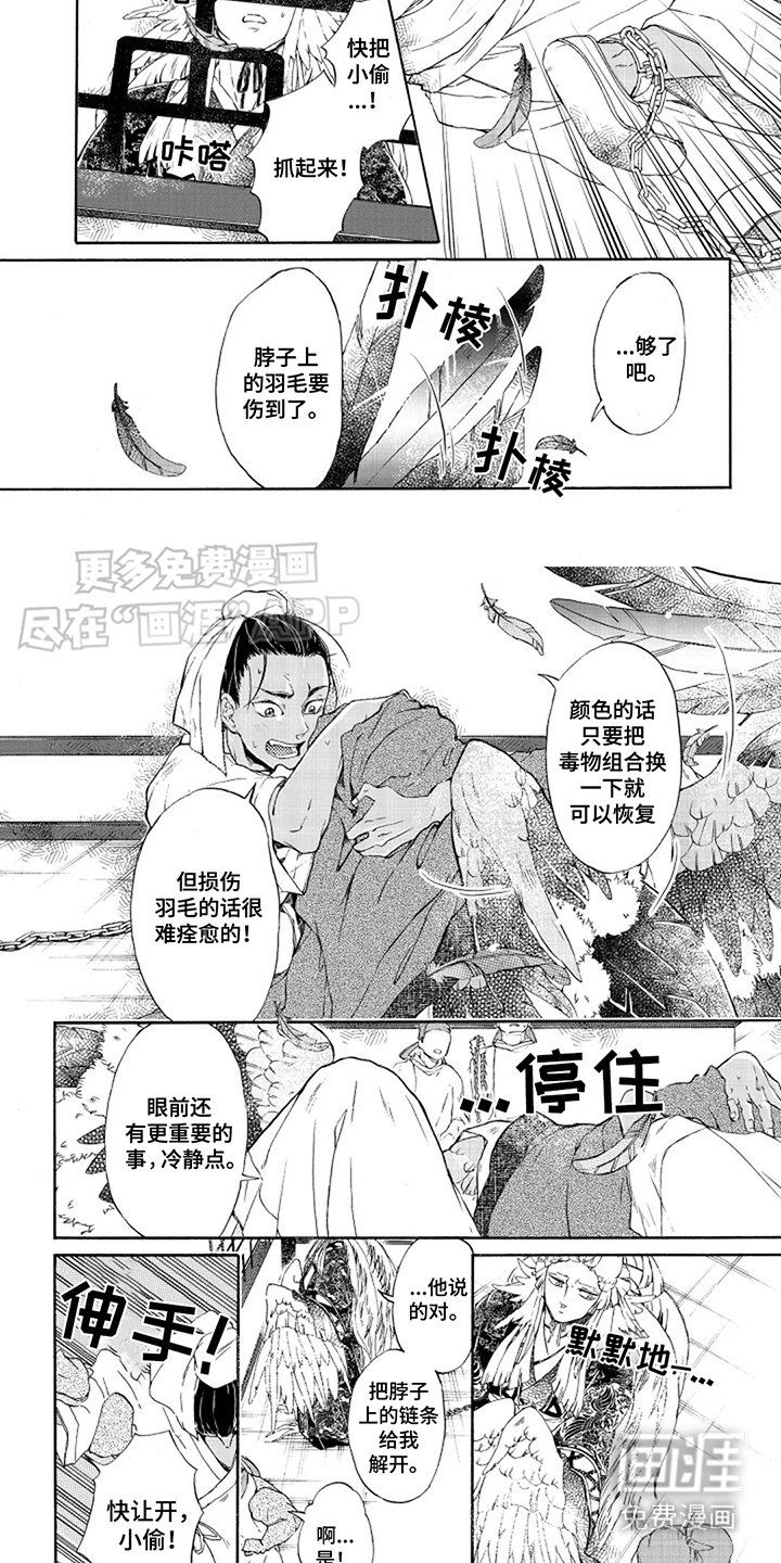第4章：冷静点