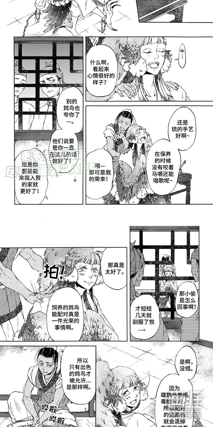 第4章：冷静点