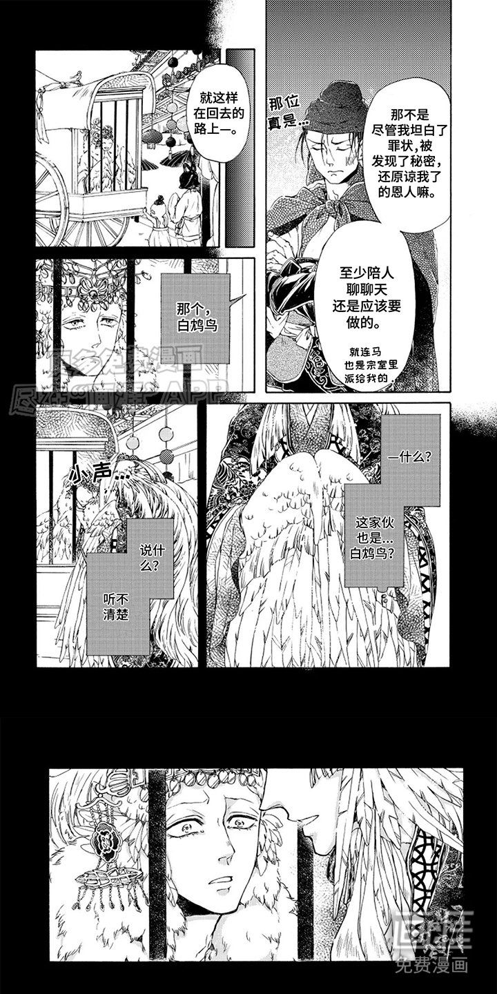 第6章：天眼