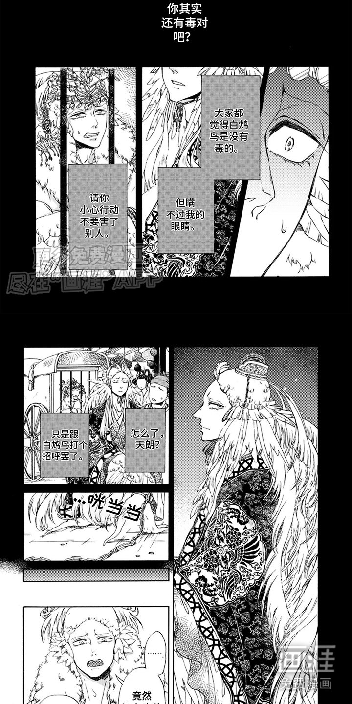 第6章：天眼