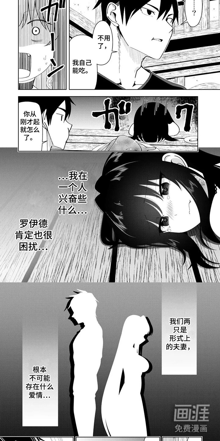 第13章：形式上的夫妻