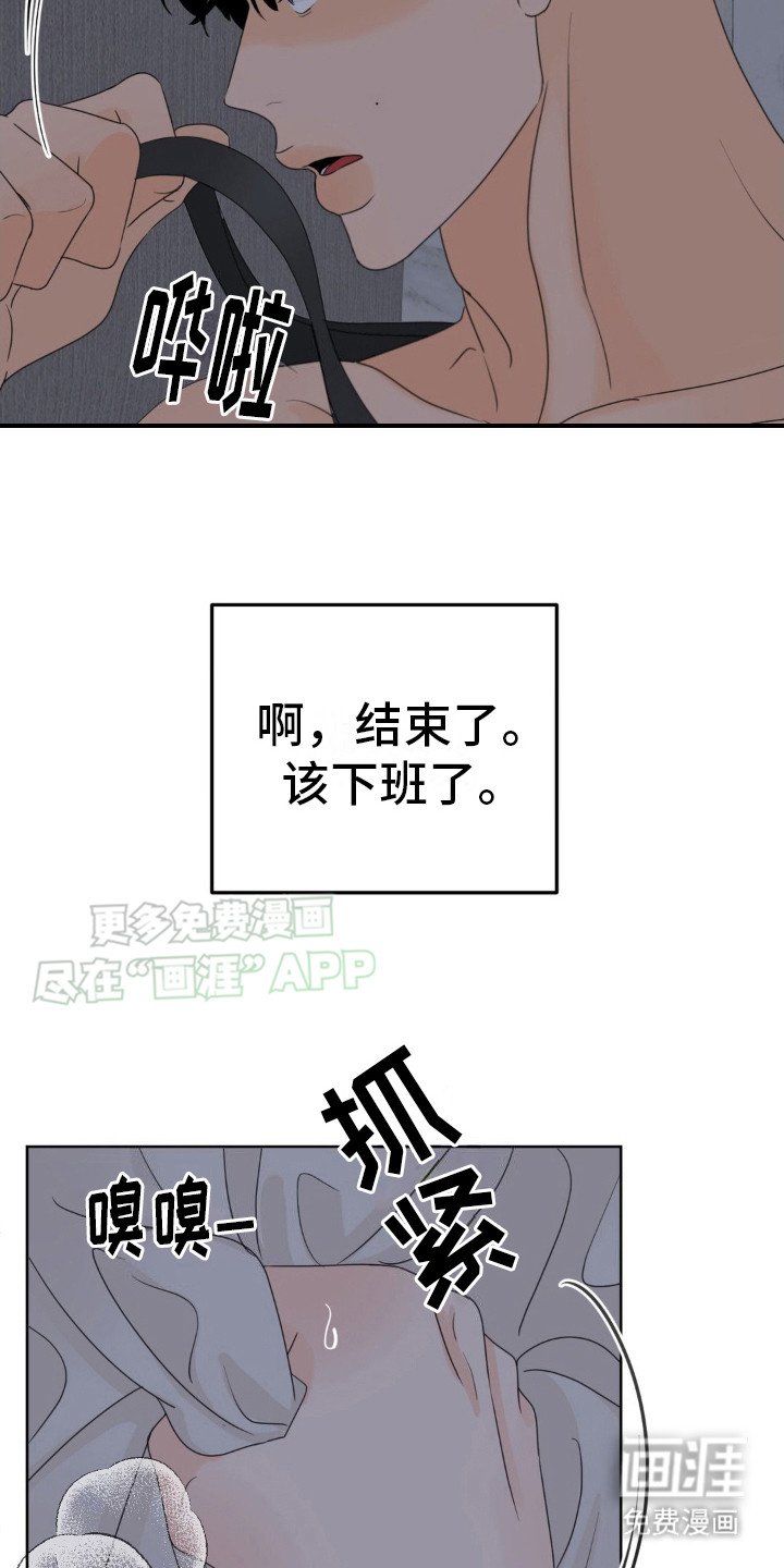 第11章： 结束了