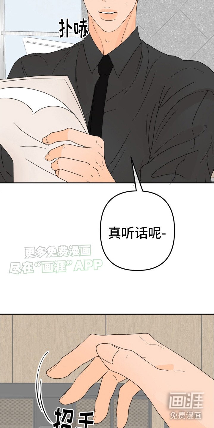 第12章：需要确认