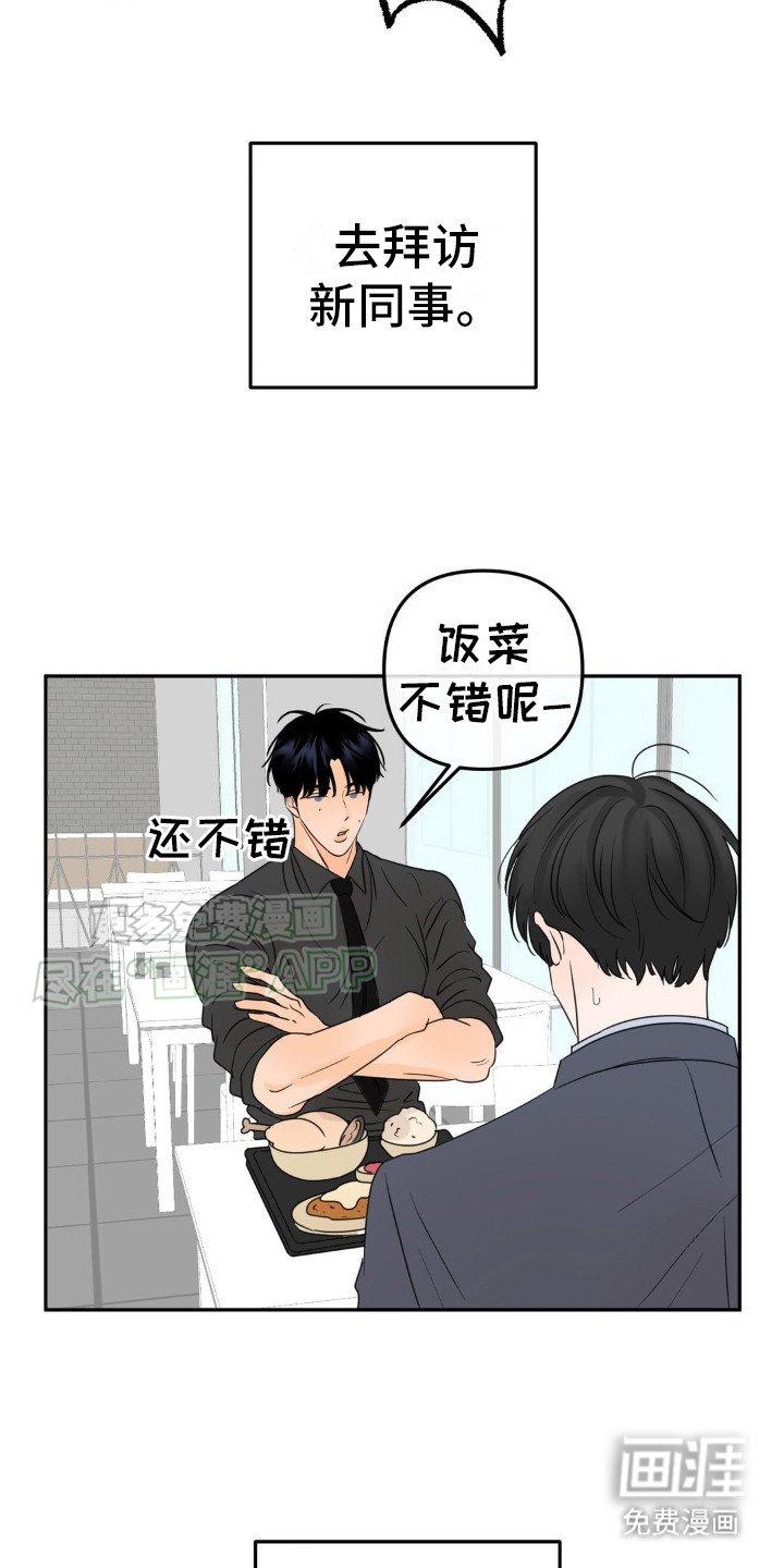 第13章：很有效果