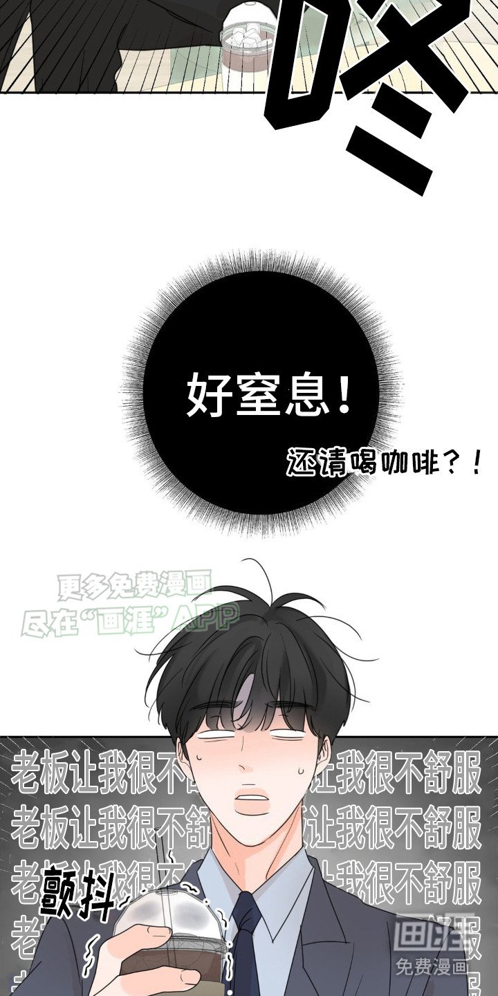 第13章：很有效果