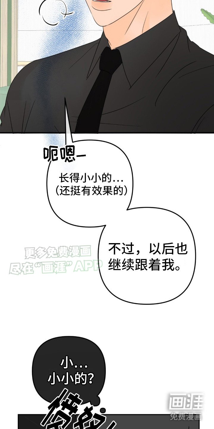 第13章：很有效果