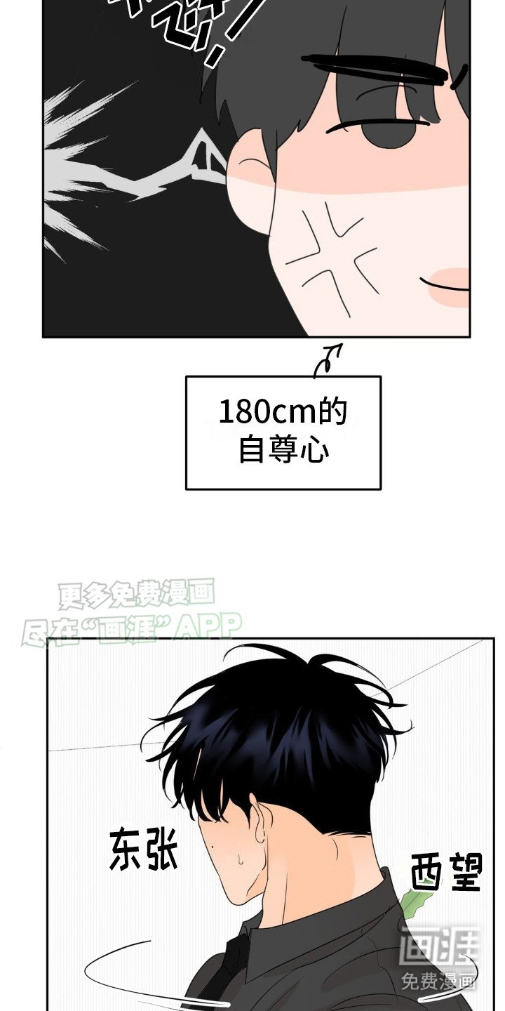第13章：很有效果