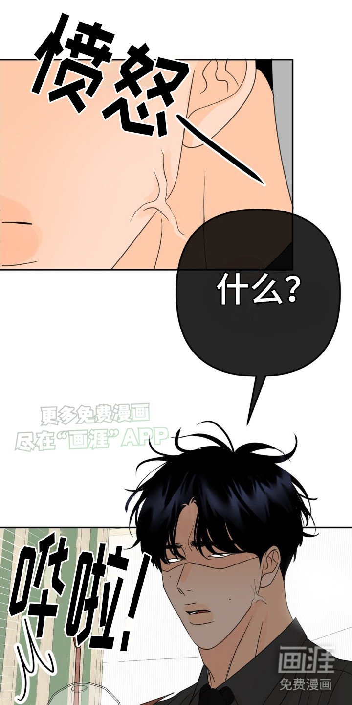 第13章：很有效果