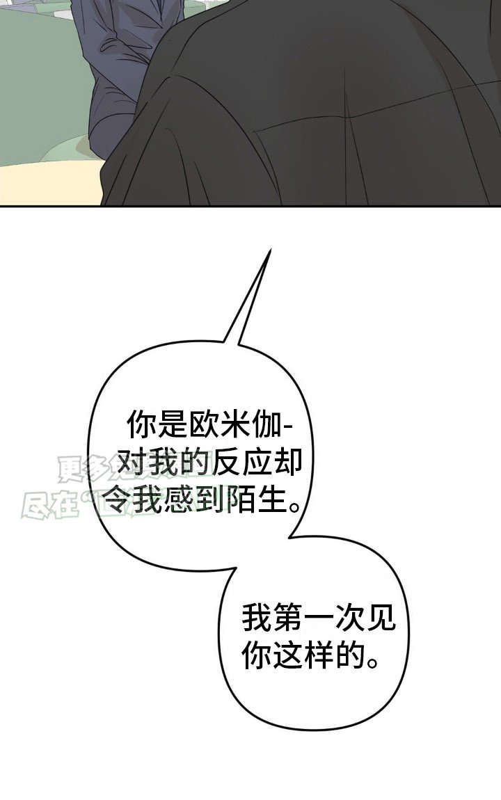 第13章：很有效果
