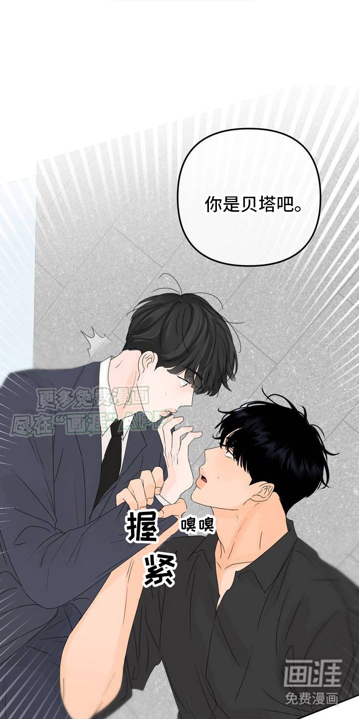 第2章：拉开距离