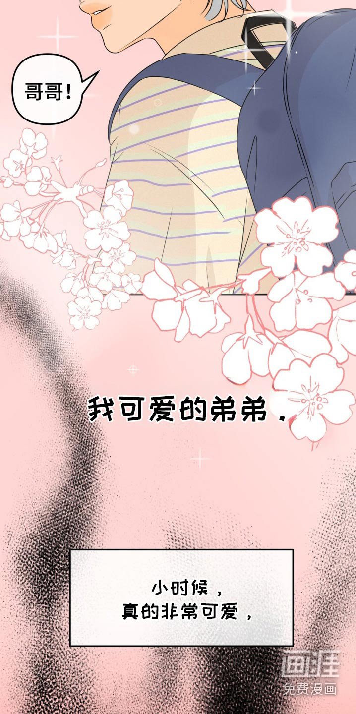 第38章：我可爱的弟弟