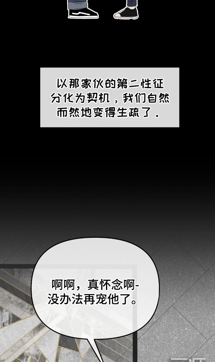 第38章：我可爱的弟弟
