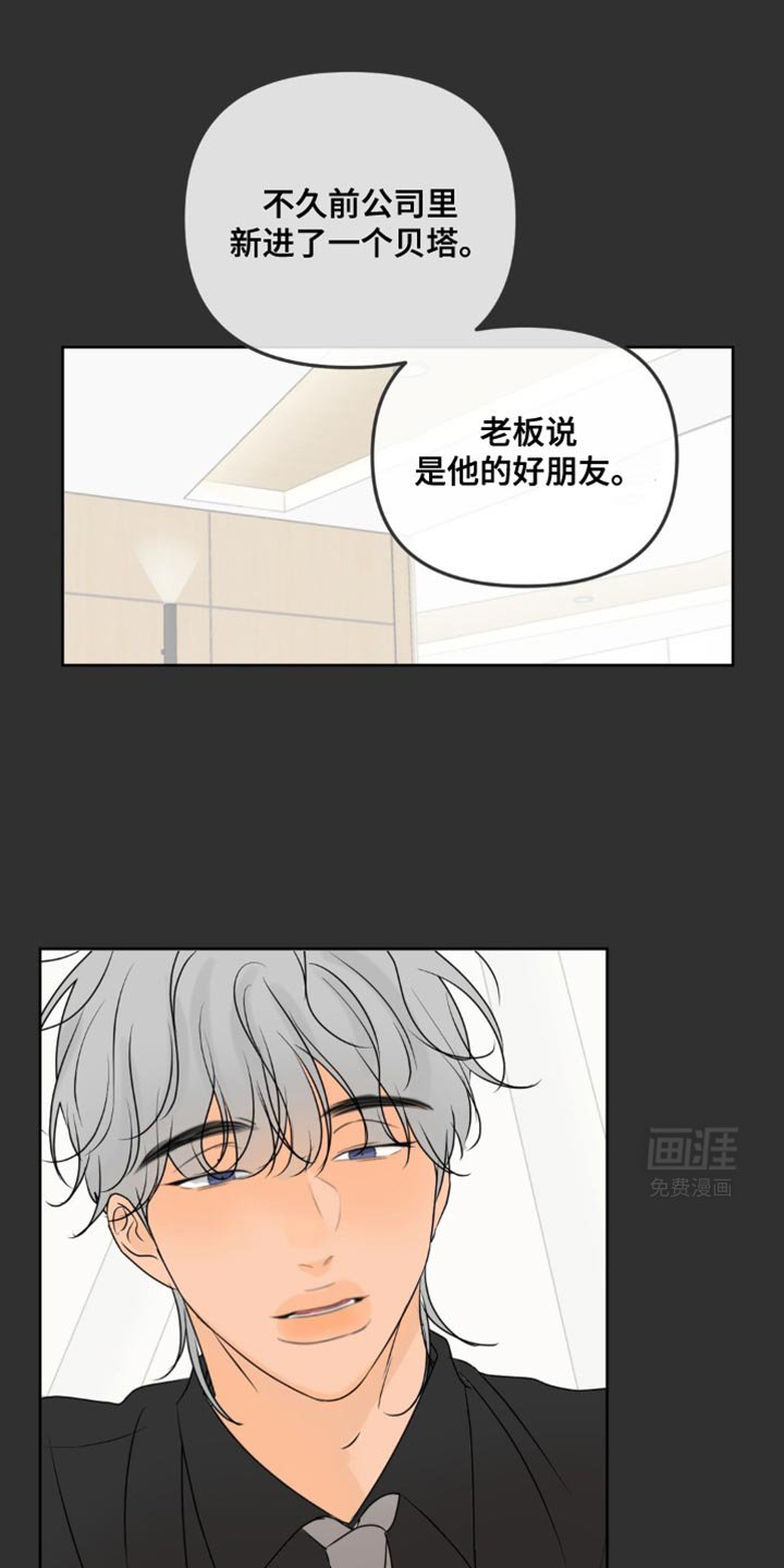 第41章：二选一