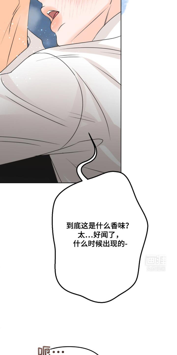 第42章：我们玩一整夜吧