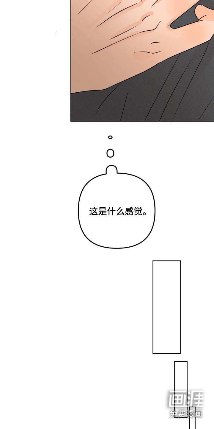 第46章：不要看