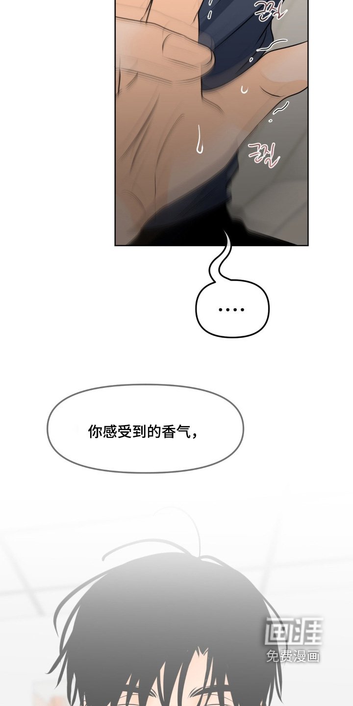第96章：【第二季】感受到香气
