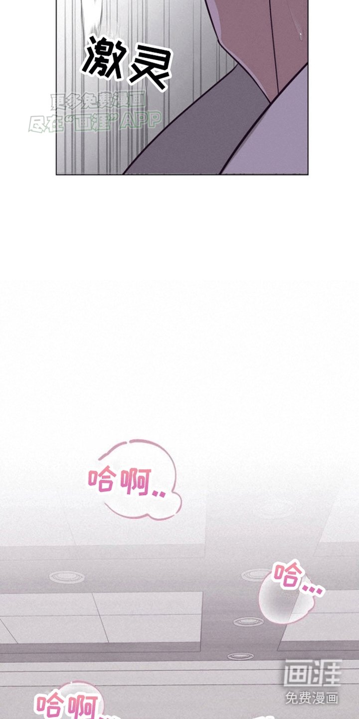 第16章：快死了就去旅行吧