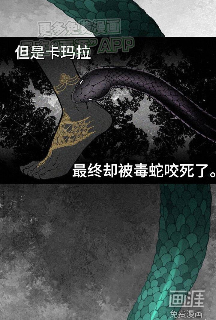 第20章：做饭