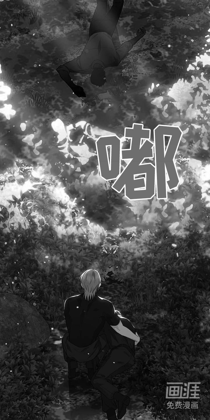 第27章：似曾相识