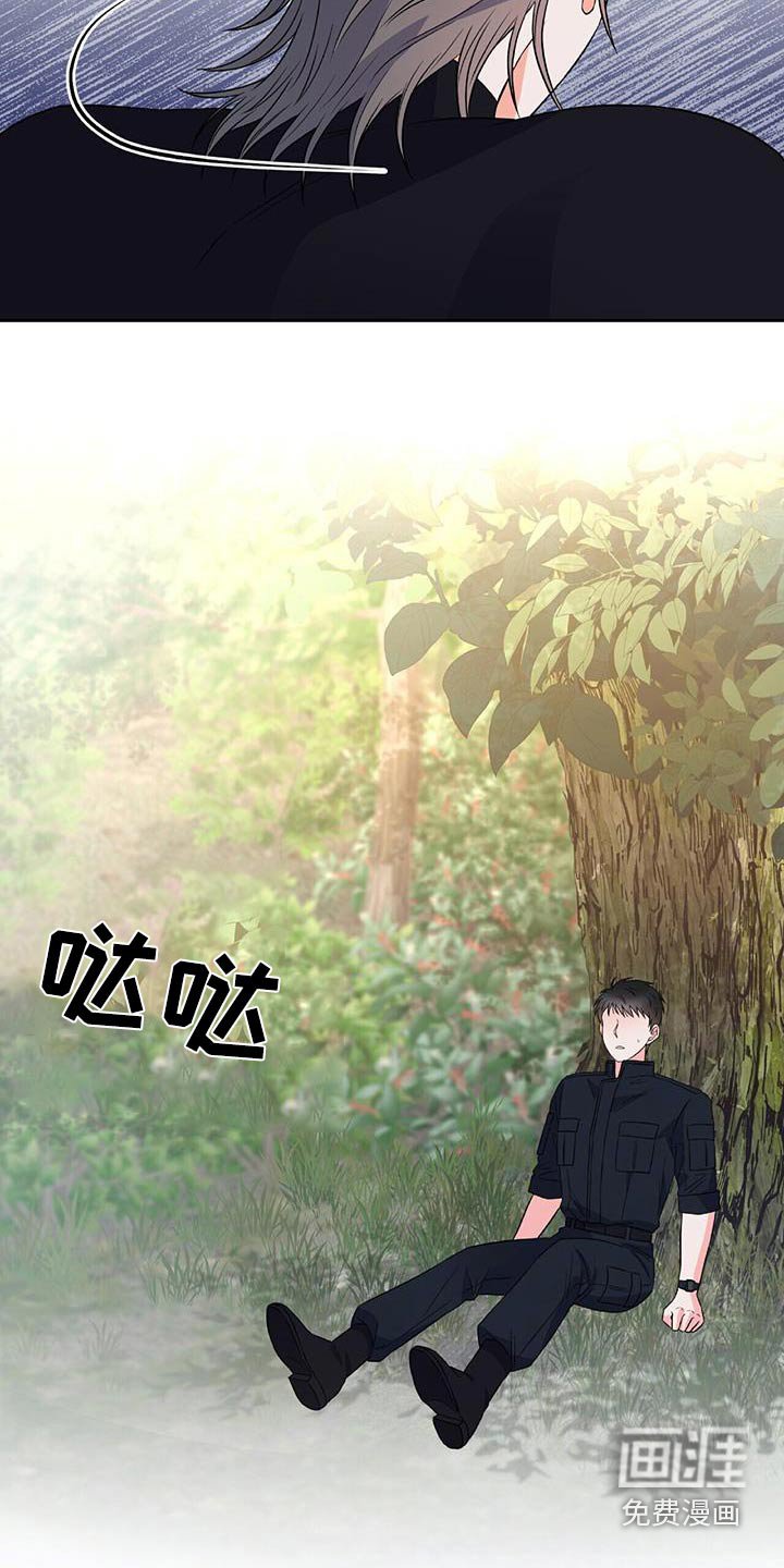 第28章：如此了解