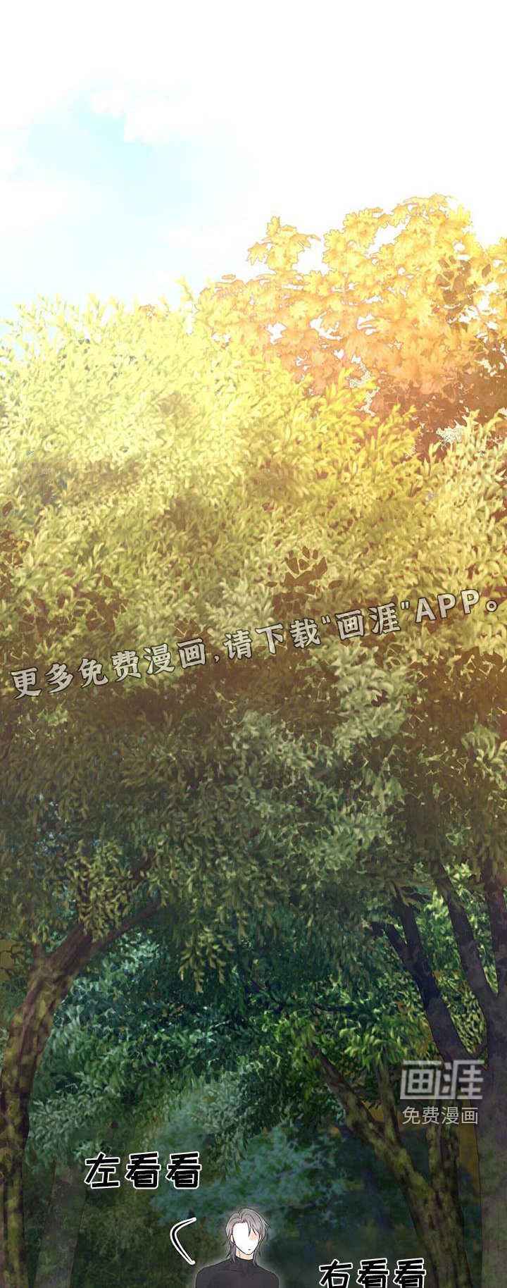 第29章：再见