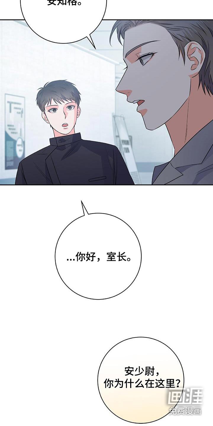 第41章：你的决心