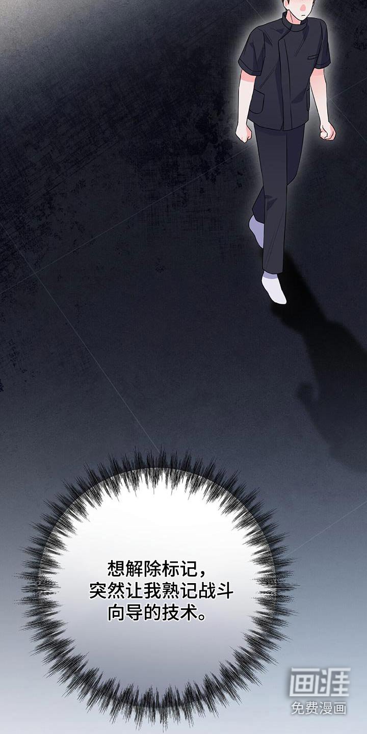 第42章：去哪了