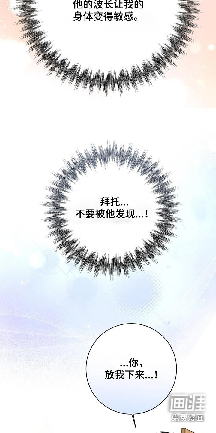 第45章：住手