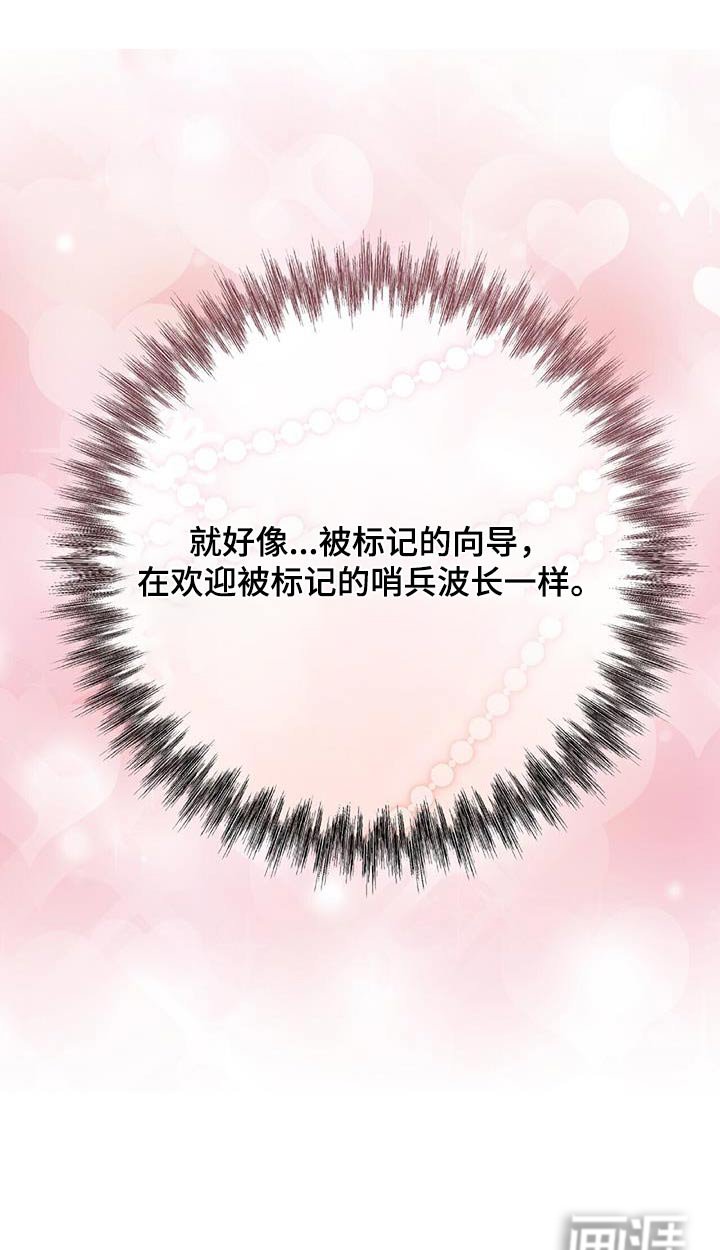 第46章：为什么这么做