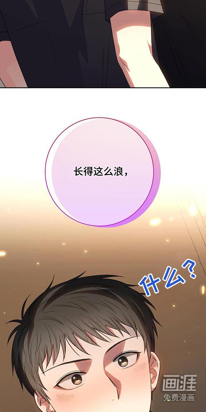 第46章：为什么这么做