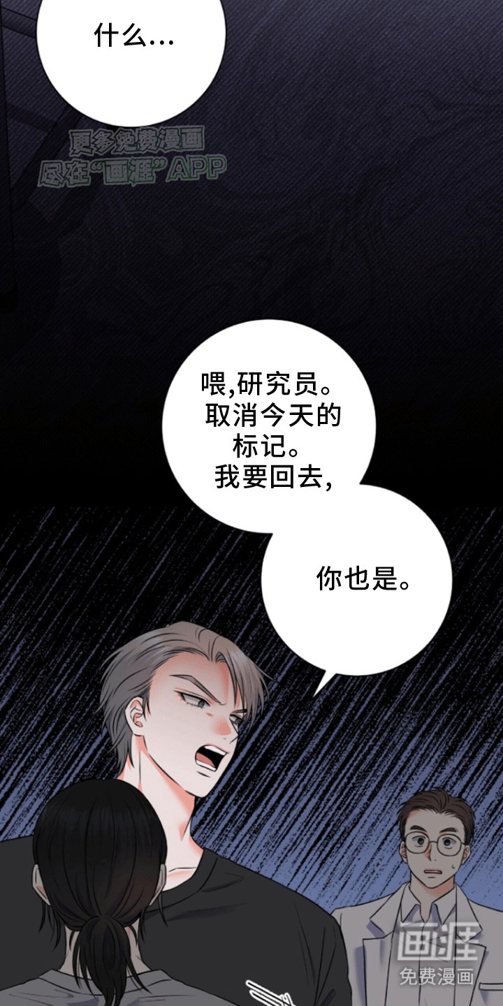 第6章：悲剧