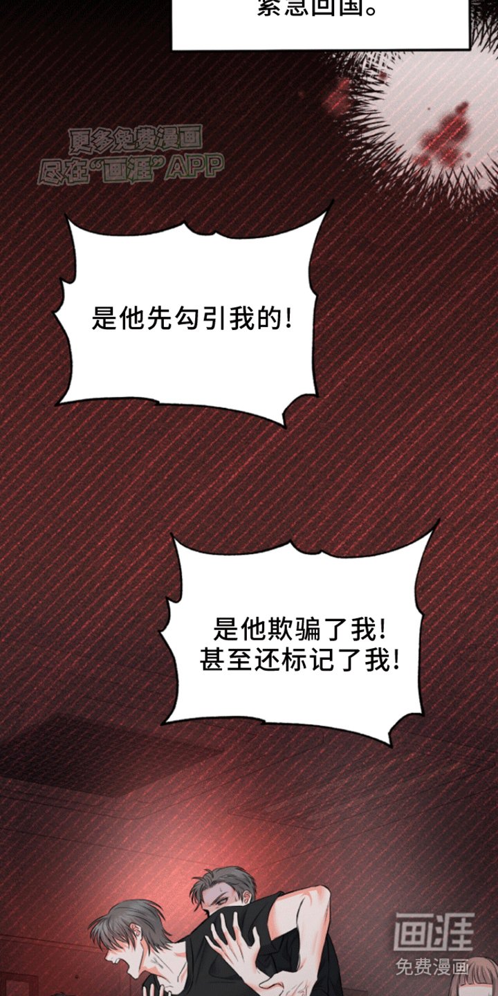 第7章：真相