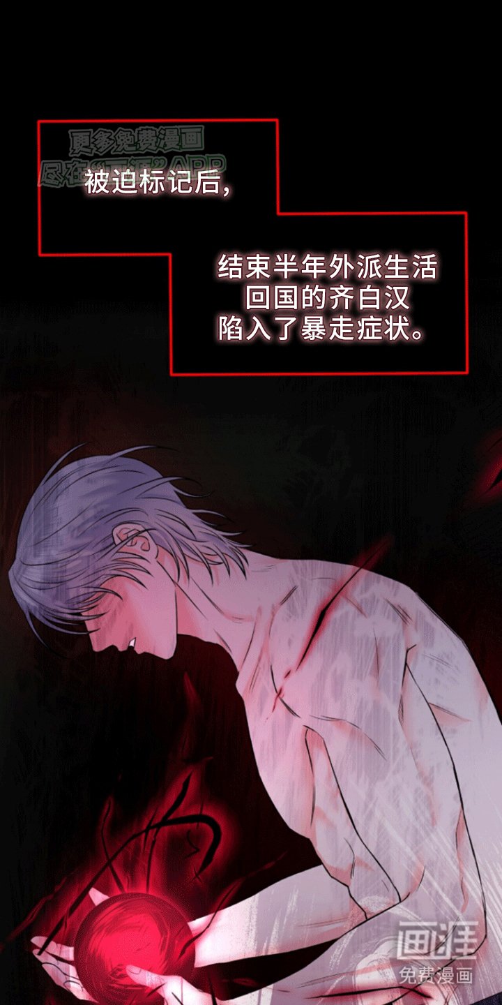 第8章：标记