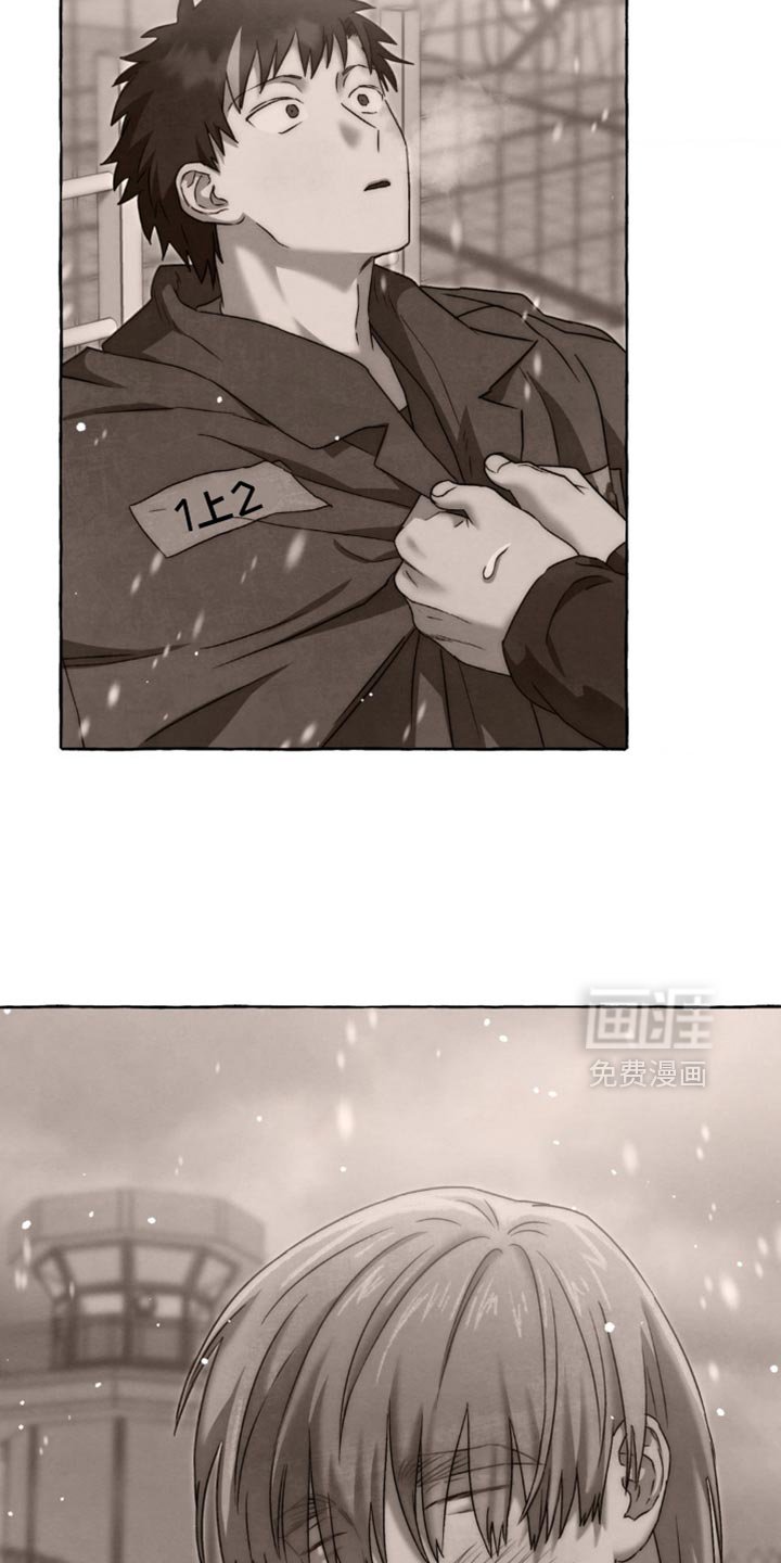 第105章：说实话