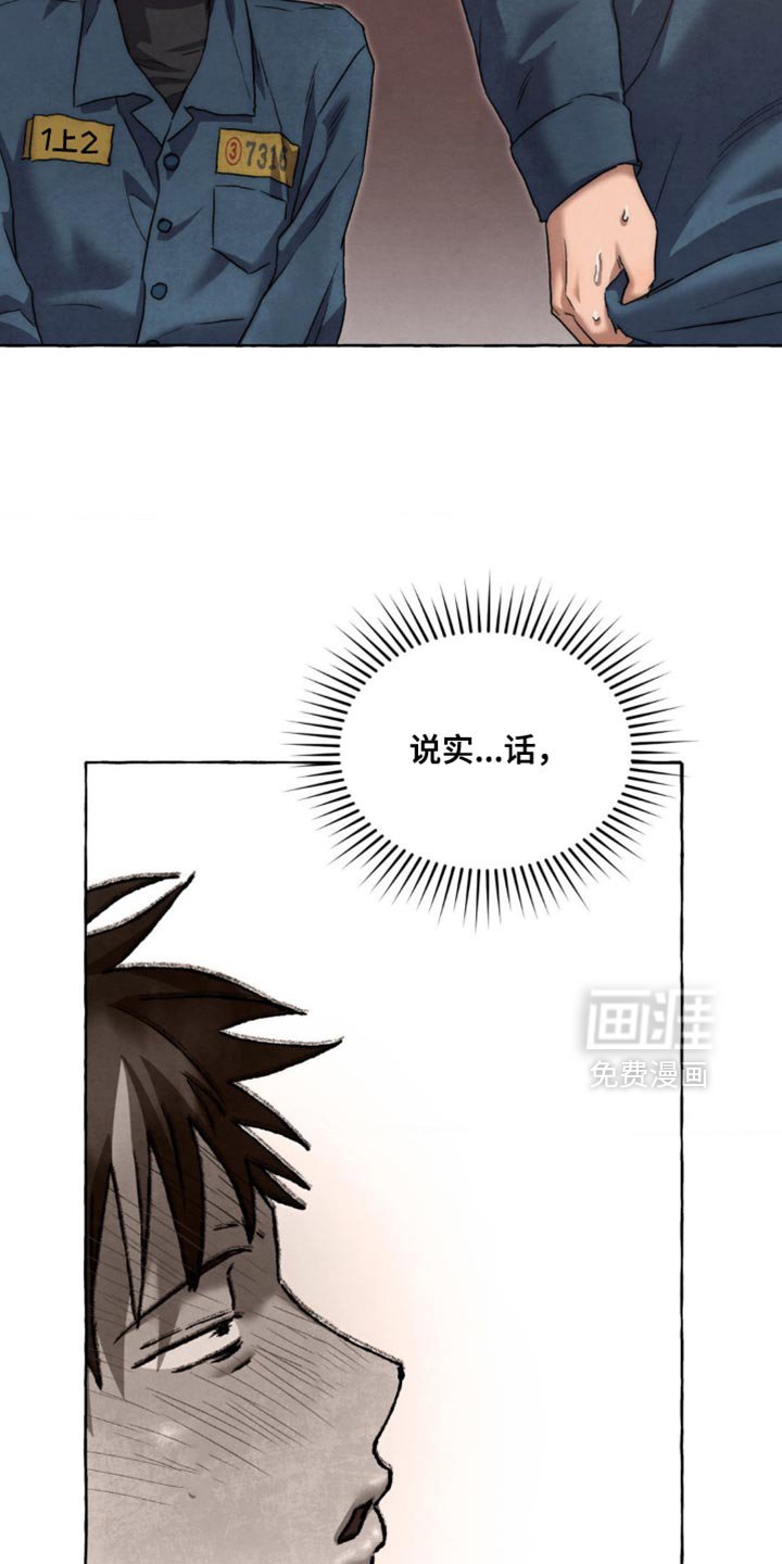 第105章：说实话