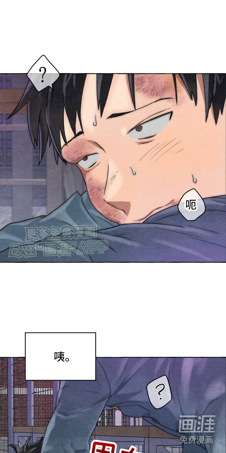 第11章：关注点