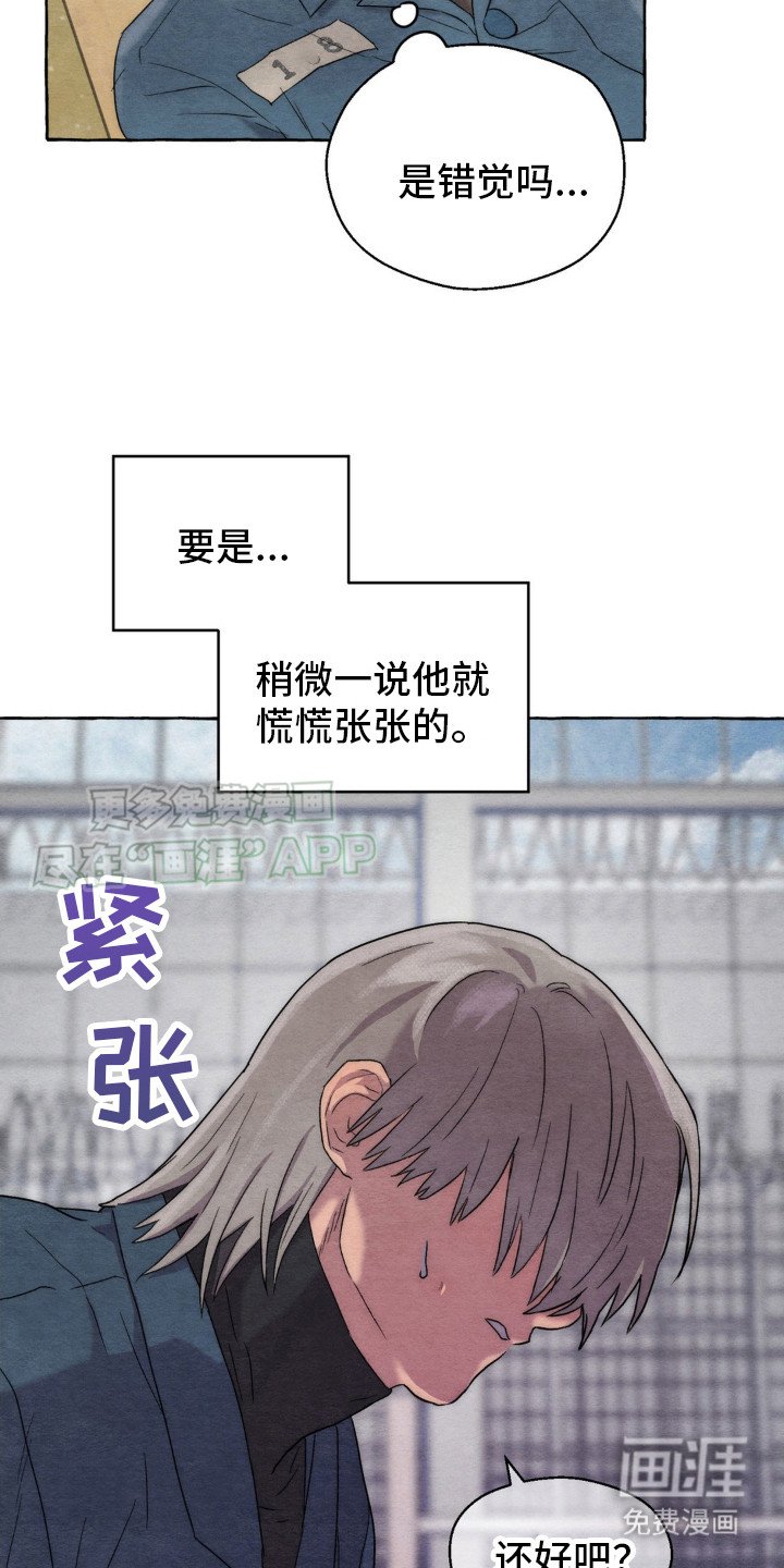 第11章：关注点