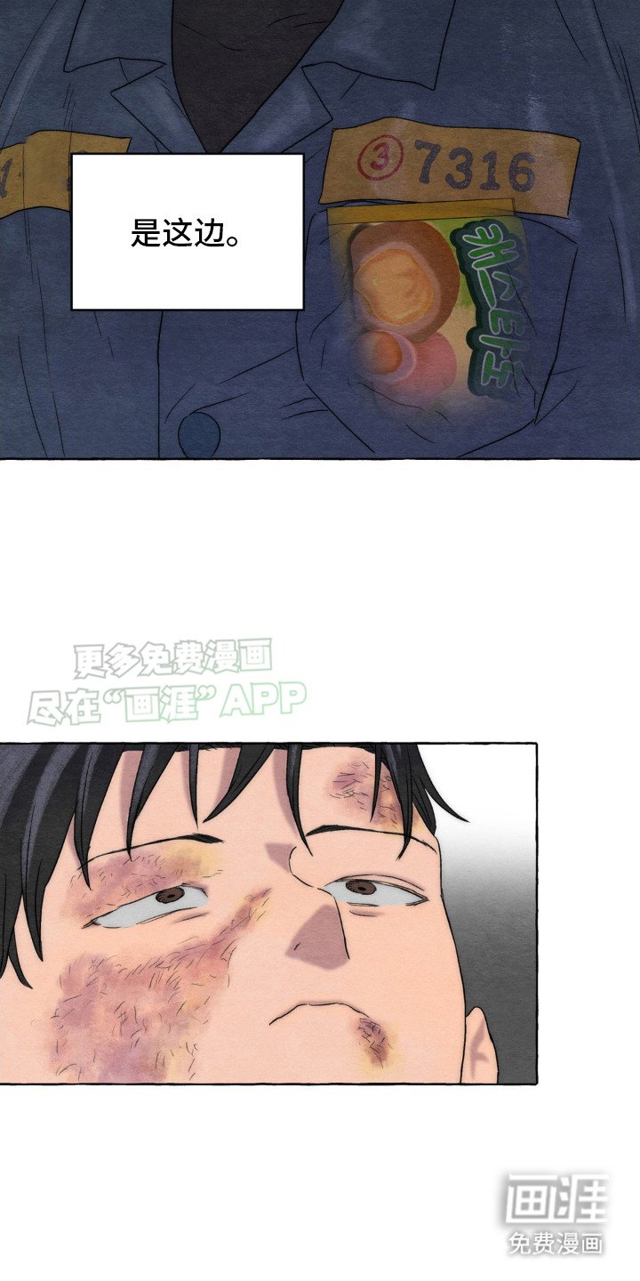 第11章：关注点