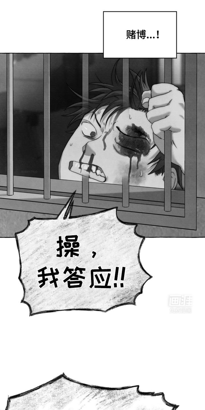 第17章：随心所欲
