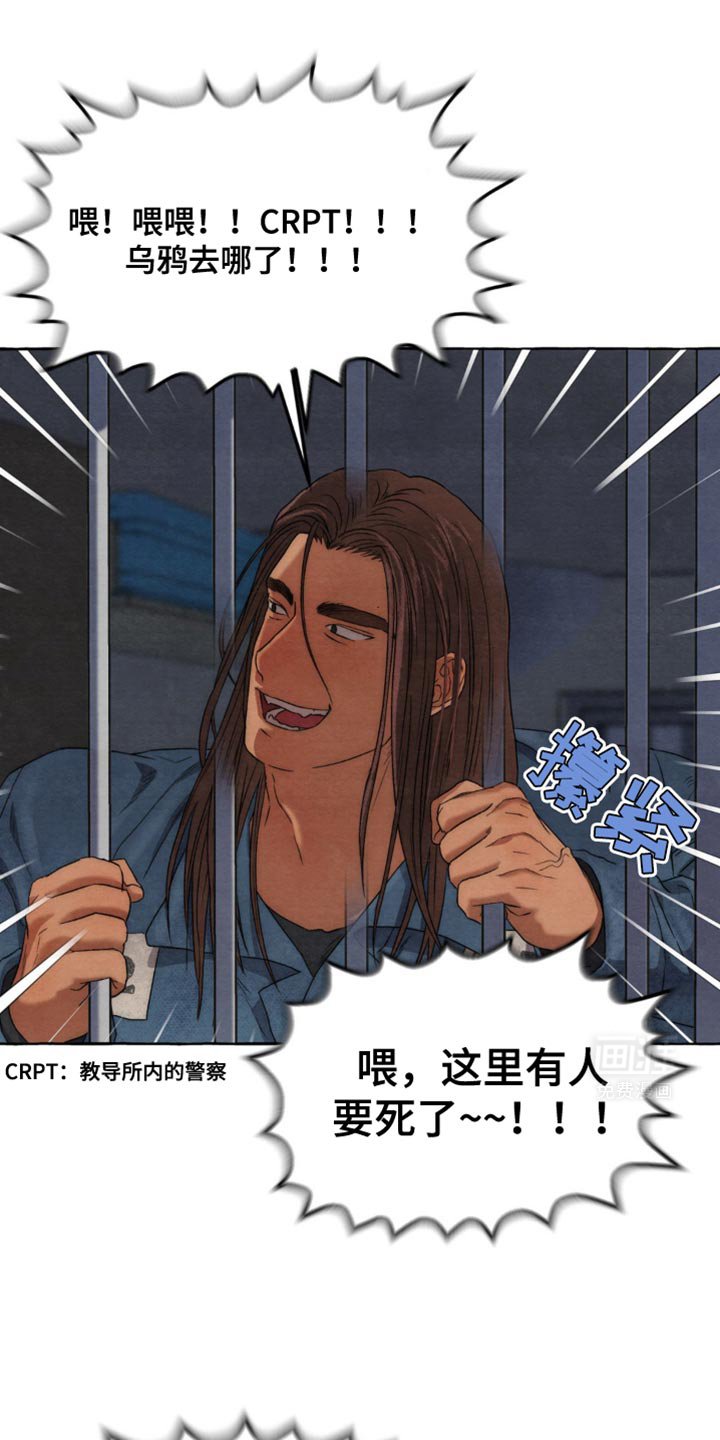 第17章：随心所欲