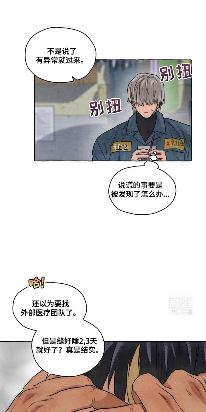 第17章：随心所欲