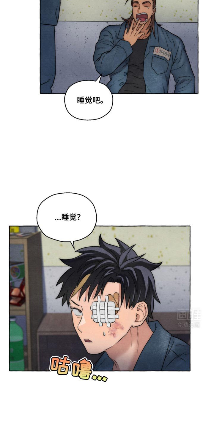 第17章：随心所欲