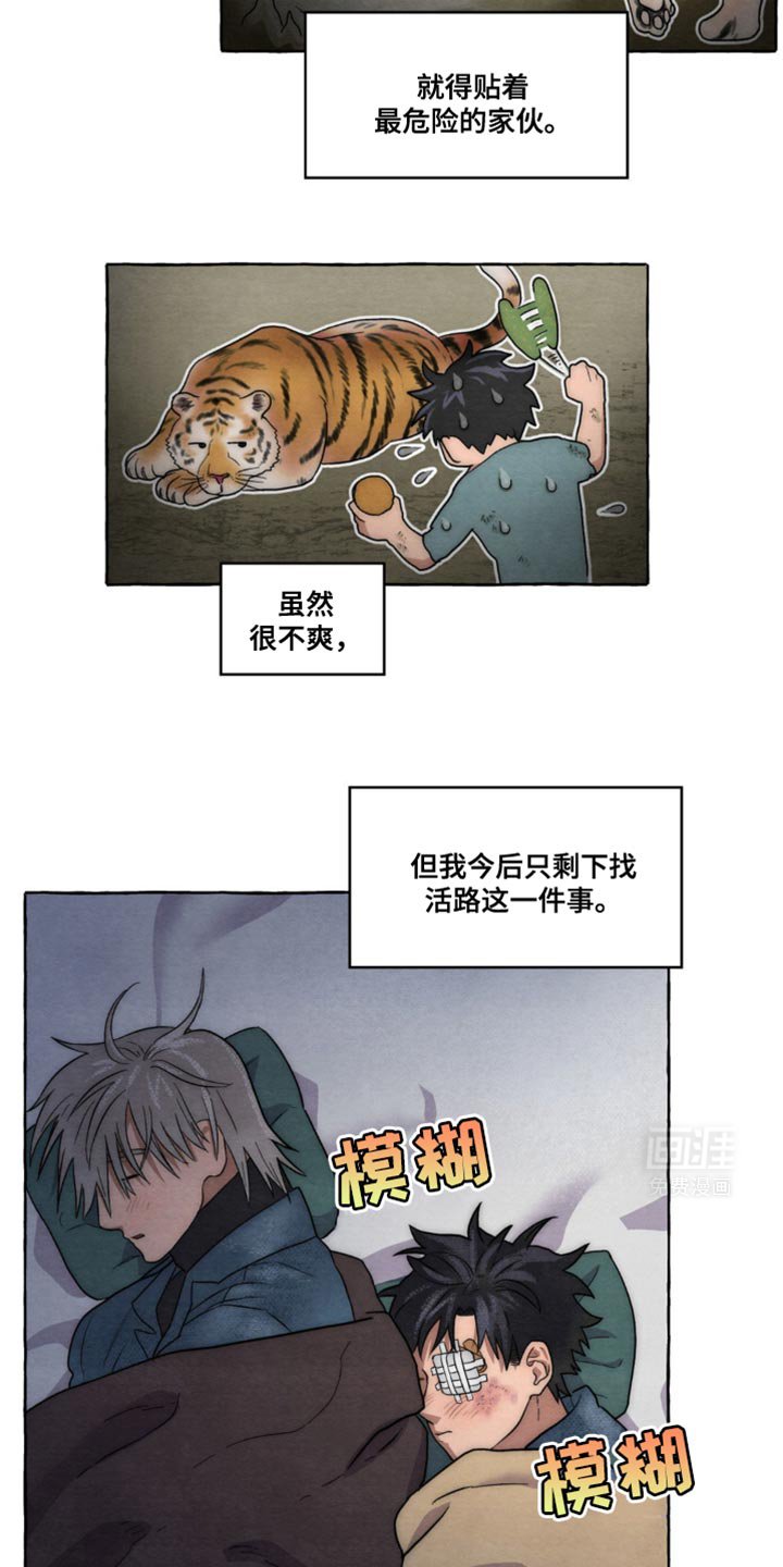 第17章：随心所欲