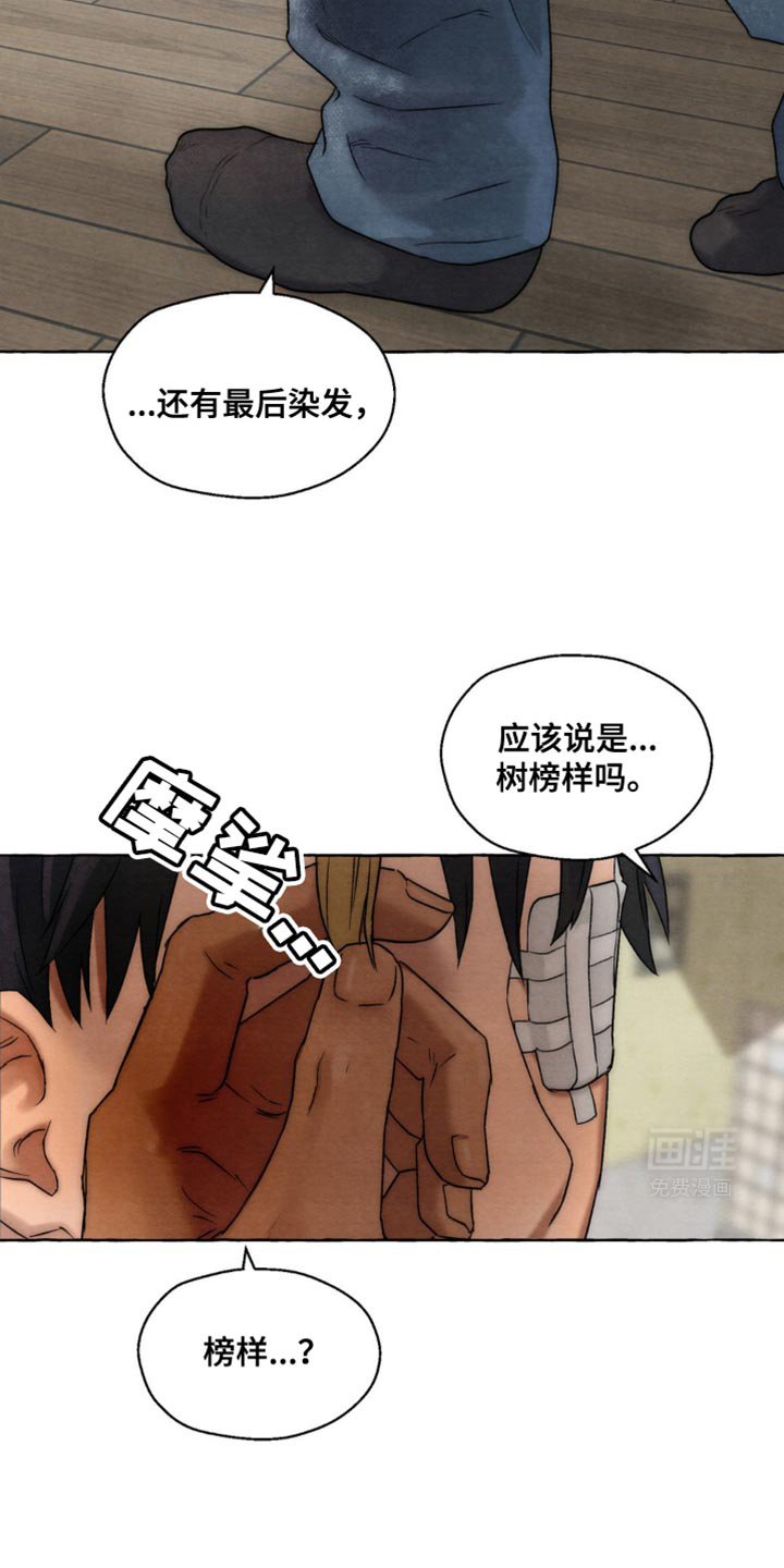 第18章：树榜样