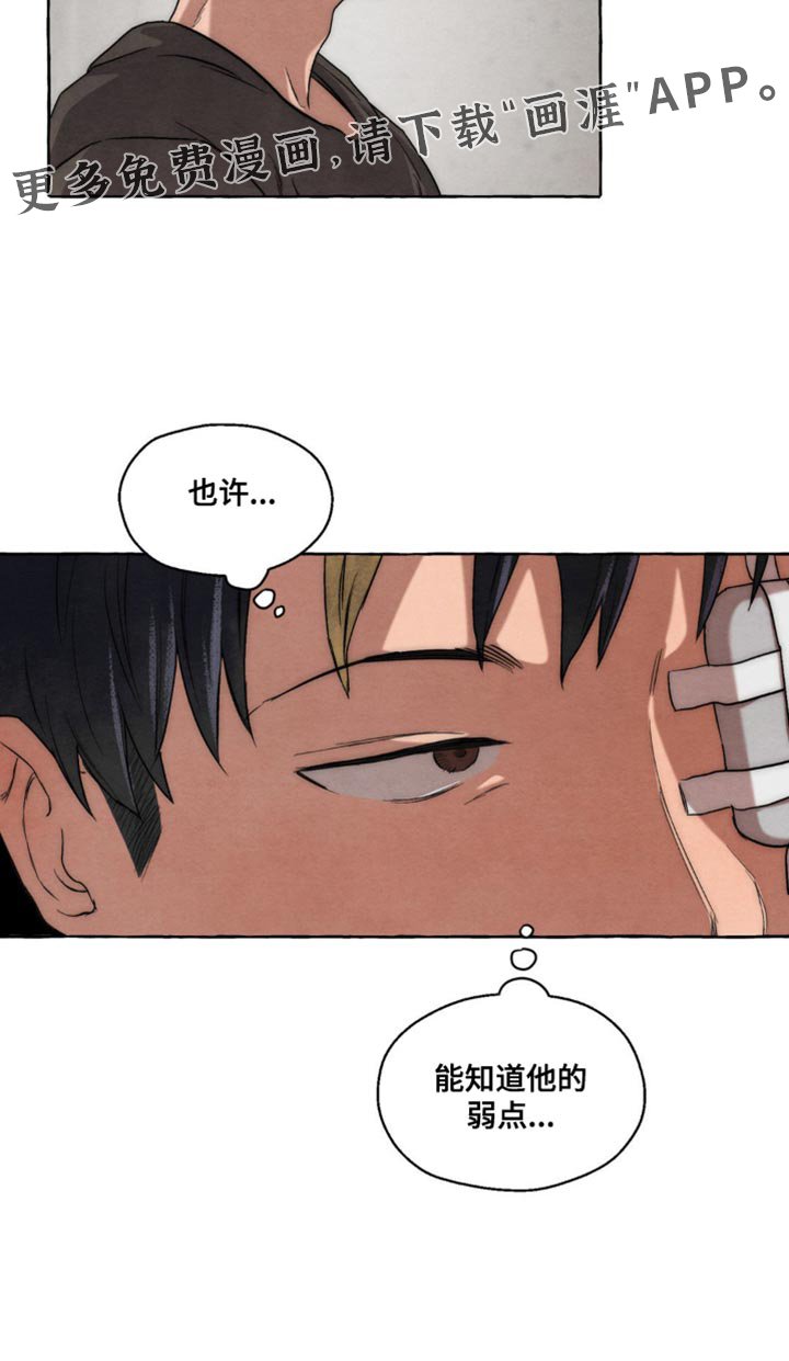 第22章：弱点