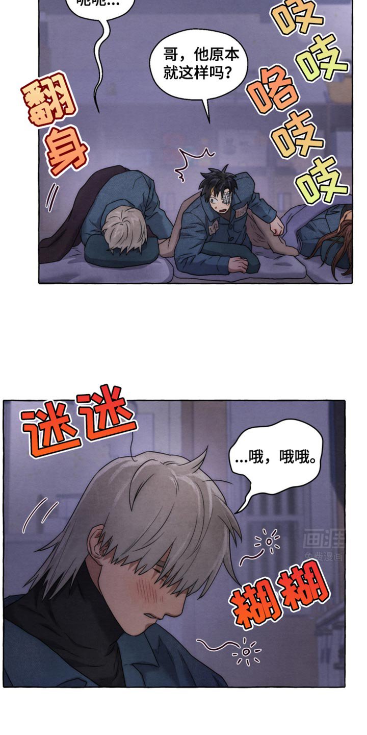 第23章：磨牙