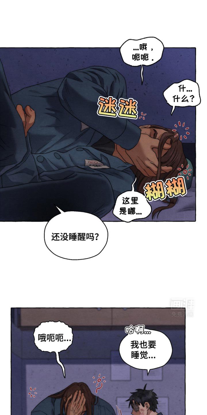 第23章：磨牙