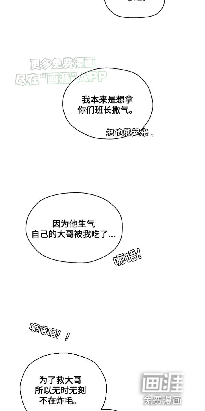第5章：掺和