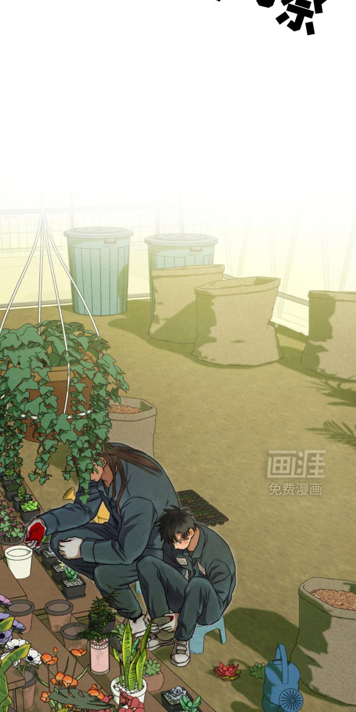 第55章：只要你闭嘴
